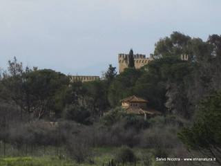 stello duca di Misterbianco-08-03-2014 20-36-53